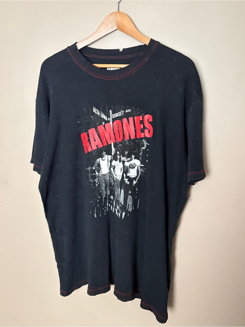 Y2K Vintage Dragonfly Ramones t-shirt punk rock band tee distressed sz XL EUC